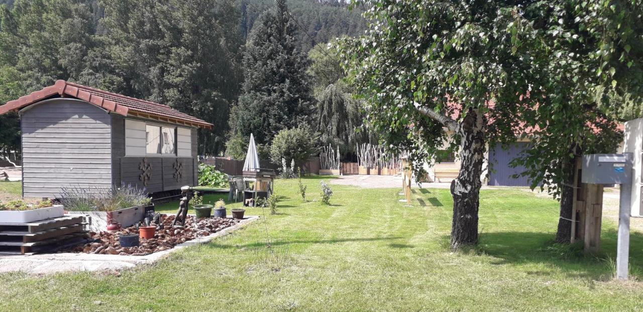 Gites, Les Jonquilles, Le Sagard Et Bungalow Les Brimbelles, Nature Et Detente La Houssiere 외부 사진
